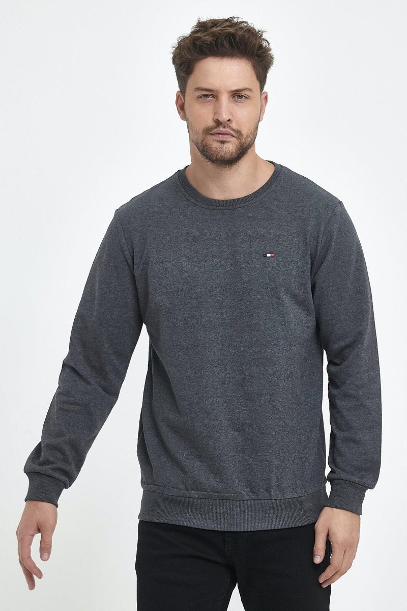 Erkek Antrasit Bisiklet Yaka Nakış Detaylı Regular Fit Sweatshirt - MMETALIC