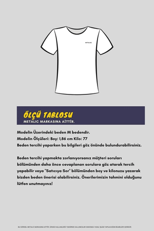 Erkek Çok Renkli T-Shirt Regular Fit Rahat Kesim V Yaka 5'li Basic Tişört Paketi - MMETALIC
